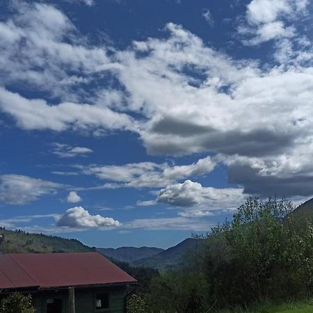 Agriturismo Il Mulino Stibiveri Bagian luar foto