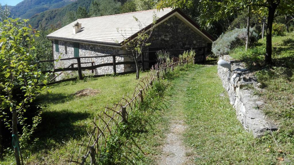 Agriturismo Il Mulino Stibiveri Bagian luar foto